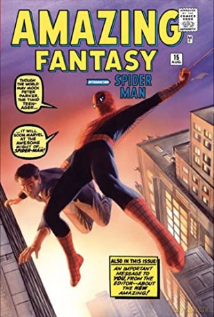 Amazing Spider-Man Omnibus Vol. 1 (Amazing Spider-man Omnibus, 1) - Stan Lee [KOMIKS]