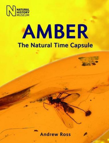 Amber: The Natural Time Capsule - Andrew Ross [KSIĄŻKA]