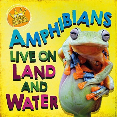 Amphibians Live on Land and in Water - Sarah Ridley [KSIĄŻKA]