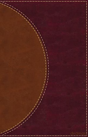 Amplified Reading Bible, Imitation Leather, Brown, Indexed: A Paragraph-Style Amplified Bible for a Smoother Reading Experience - Zondervan [KSIĄŻKA]
