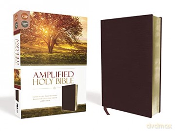 AMPLIFIED THINLINE BIBLE BND BRG BND: Captures the Full Meaning Behind the Original Greek and Hebrew - Lockman Foundation [KSIĄŻKA]