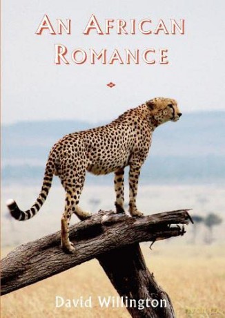 An African Romance - David Willington [KSIĄŻKA]
