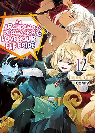 An Archdemon's Dilemma: How to Love Your Elf Bride: Volume 12 (An Archdemon's Dilemma: How to Love Your Elf Bride (light novel), 12) - Fuminori Teshima [KSIĄŻKA]
