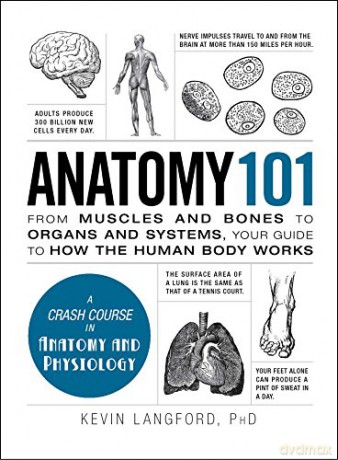 Anatomy 101: From Muscles and Bones to Organs and Systems, Your Guide to How the Human Body Works (Adams 101) - Kevin Langford PHD [KSIĄŻKA]