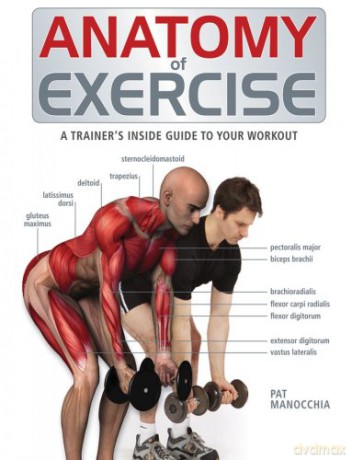 Anatomy of Exercise: A Trainer's Inside Guide to Your Workout - Pat Manocchia [KSIĄŻKA]