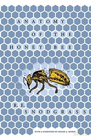 Anatomy of the Honey Bee - R. E. Snodgrass [KSIĄŻKA]