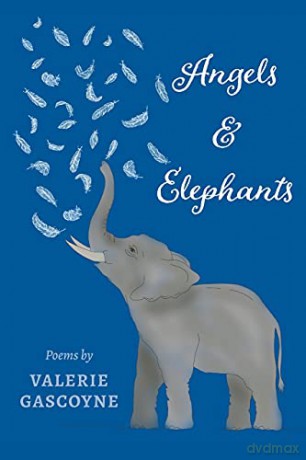 Angels and Elephants - Valerie Gascoyne [KSIĄŻKA]