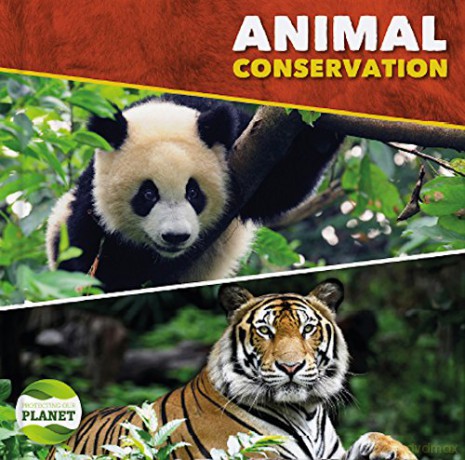 Animal conservation (Protecting Our Planet) - Harriet Brundle [KSIĄŻKA]