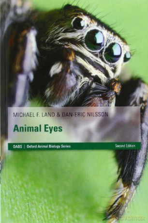 Animal Eyes (Oxford Animal Biology Series) - Michael F. Land [KSIĄŻKA]