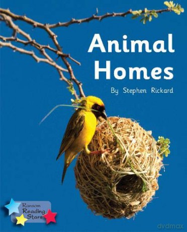 Animal Homes: Phonics Phase 1/Lilac (Reading Stars Phonics) [KSIĄŻKA]