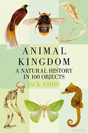 Animal Kingdom: A Natural History in 100 Objects - Jack Ashby [KSIĄŻKA]