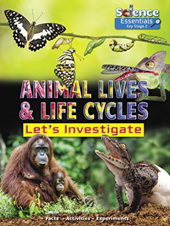 Animal Lives and Life Cycles: Let's Investigate (Science Essentials): 2 - Ruth Owen [KSIĄŻKA]