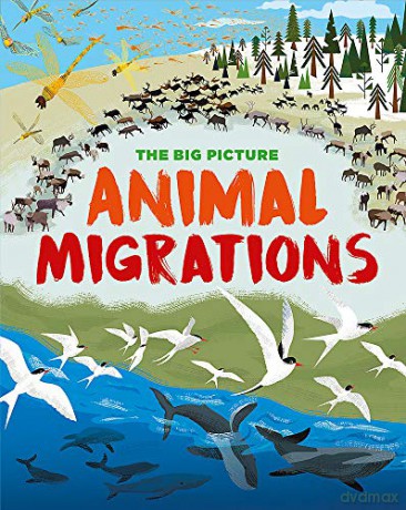 Animal Migrations (The Big Picture) - Jon Richards [KSIĄŻKA]