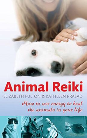 Animal Reiki: How to use energy to heal the animals in your life - Elizabeth Fulton [KSIĄŻKA]