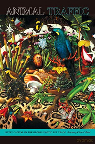 Animal Traffic: Lively Capital in the Global Exotic Pet Trade - Rosemary-Claire Collard [KSIĄŻKA]