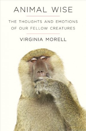 Animal Wise: The Thoughts and Emotions of Animals - Virginia Morell [KSIĄŻKA]
