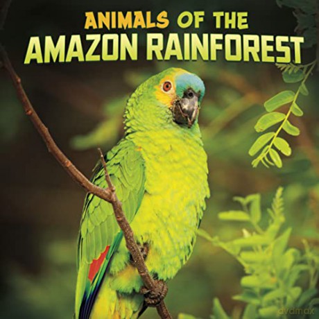 Animals of the Amazon Rainforest (Wild Biomes) - Mari Schuh [KSIĄŻKA]