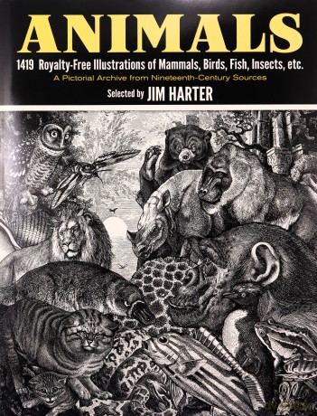 Animals: 1,419 Copyright-Free Illustrations of Mammals, Birds, Fish, Insects, etc (Dover Pictorial Archive) - Jim Harter [KSIĄŻKA]