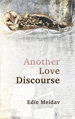 Another Love Discourse - Edie Meidav [KSIĄŻKA]
