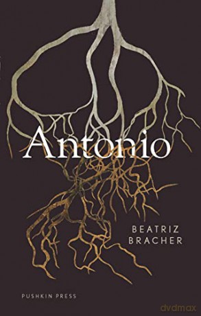 Antonio - Beatriz Bracher [KSIĄŻKA]