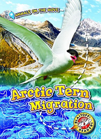 Arctic Tern Migration (Animals on the Move) - Kari Schuetz [KSIĄŻKA]