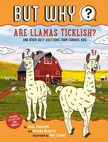 Are Llamas Ticklish#1: And Other Silly Questions from Curious Kids (But Why) - Jane Lindholm [KSIĄŻKA]