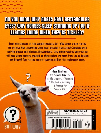 Are Llamas Ticklish#1: And Other Silly Questions from Curious Kids (But Why) - Jane Lindholm [KSIĄŻKA]