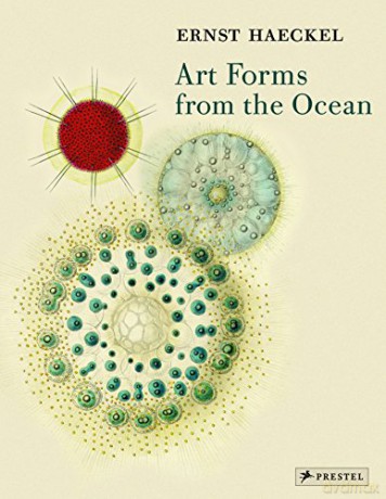 Art Forms from the Ocean: The Radiolarian Prints of Ernst Haeckel - Olaf Breidbach [KSIĄŻKA]