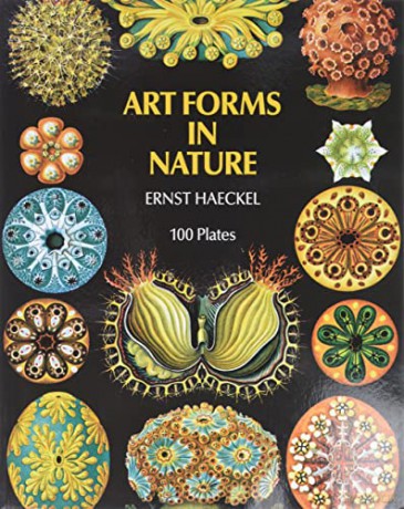 Art Forms in Nature (Dover Pictorial Archive) - Ernst Haeckel [KSIĄŻKA]