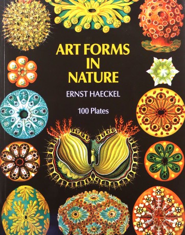 Art Forms in Nature (Dover Pictorial Archive) - Ernst Haeckel [KSIĄŻKA]
