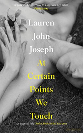 At Certain Points We Touch - Lauren John Joseph [KSIĄŻKA]