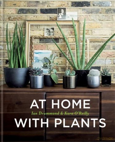 At Home with Plants - Ian Drummond [KSIĄŻKA]