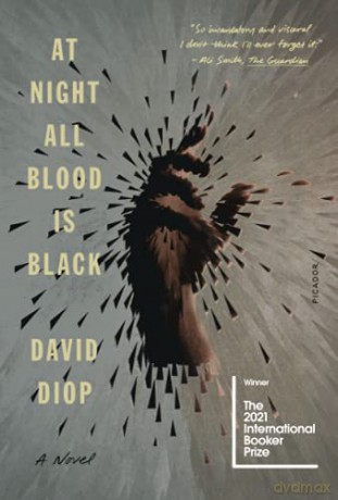 At Night All Blood Is Black: A Novel - David Diop [KSIĄŻKA]