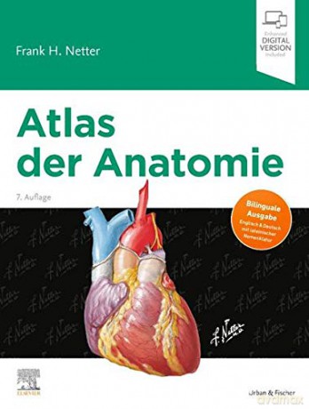 Atlas der Anatomie: Deutsche Übersetzung von Christian M. Hammer - Mit StudentConsult-Zugang - Frank H. Netter [KSIĄŻKA]