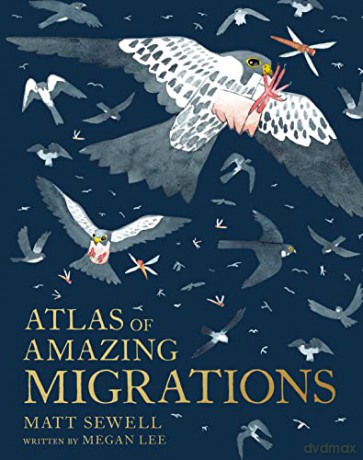 Atlas of Amazing Migrations: A children's illustrated encyclopedia of animal migrations and journeys - Megan Lee [KSIĄŻKA]