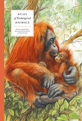 Atlas of Endangered Animals (Large Encyclopedias of Animals) - Radek Maly [KSIĄŻKA]