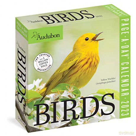 Audubon Birds Page-A-Day Calendar 2023 [KALENDARZ]