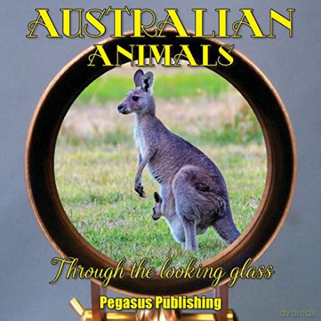 Australian Animals: Through The Looking Glass (4) - Tracy P. Rockwell [KSIĄŻKA]