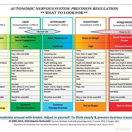 Autonomic Nervous System Table: Wall Poster - Babette Rothschild [KSIĄŻKA]