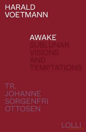 Awake - Harald Voetmann and translated by Johanne Sorgenfri Ottosen [KSIĄŻKA]
