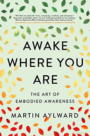 Awake Where You Are: The Art of Embodied Awareness - Martin Aylward [KSIĄŻKA]