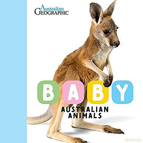 Baby Australian Animals - Australian Geographic [KSIĄŻKA]