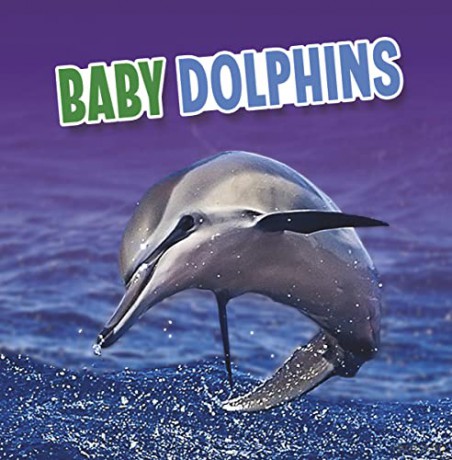Baby Dolphins (Baby Animals) - Martha E. H. Rustad [KSIĄŻKA]