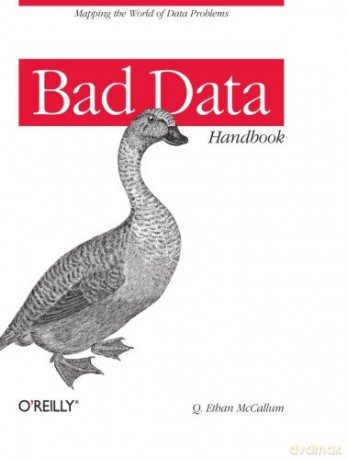 Bad Data Handbook: Cleaning Up the Data So You Can Get Back to Work - Q. Ethan McCallum [KSIĄŻKA]