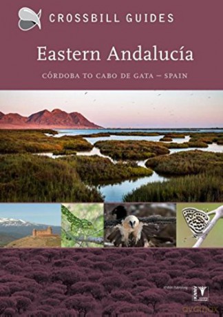Eastern Andalucia: From Malaga to Cabo de Gata, Spain: Córdoba to Cabo de Gata, Spain: II - Dirk Hilbers [KSIĄŻKA]
