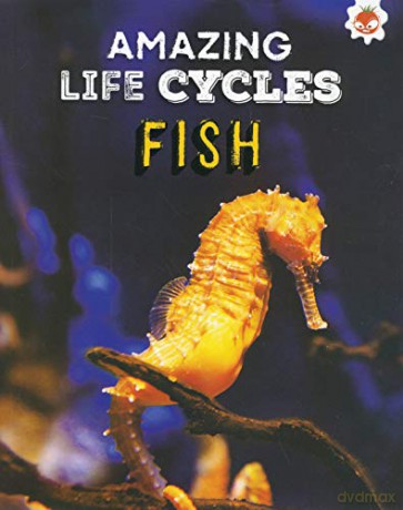 Fish - Amazing Life Cycles - John Allan [KSIĄŻKA]