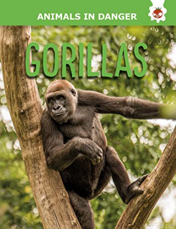 Gorillas - Animals In Danger - Emily Kington [KSIĄŻKA]