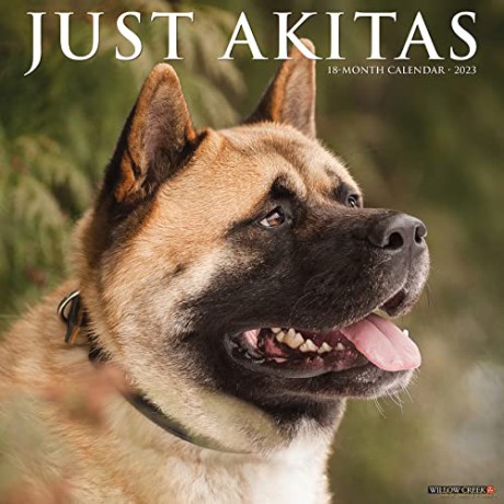 Just Akitas 2023 Wall Calendar - Willow Creek Press [KALENDARZ]