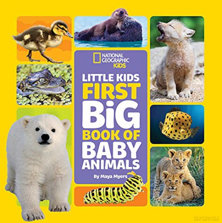 Little Kids First Big Book of Baby Animals (Little Kids First Big Books) - National Geographic Kids [KSIĄŻKA]