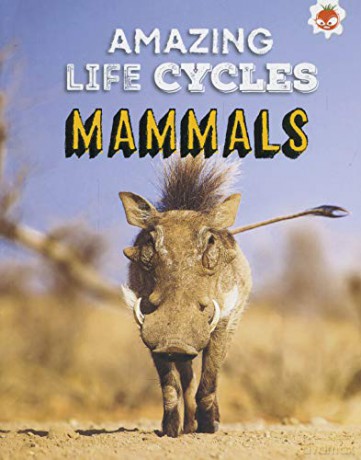 Mammals - Amazing Life Cycles - John Allan [KSIĄŻKA]